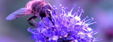 gezondheidsklachten behandelplan